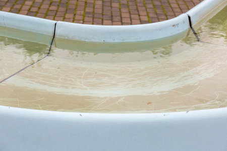 Homemade concrete canal with water for irrigation of vegetation in the yard