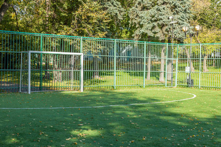 Part of the green field for soccer without people is covered with yellow fallen leaves