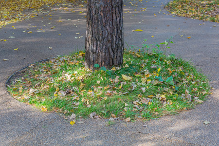 Bright fallen leaves of golden color on the autumn ground