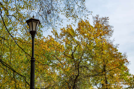 Vintage black iron lantern in a public parkの写真素材