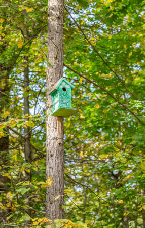 Wooden birdhouse-feeder in the summer city parkの写真素材