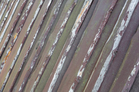 Textured surface of natural wood decorative materials