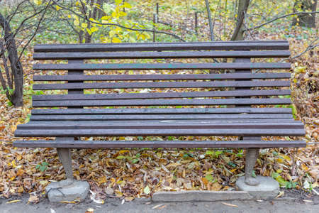 A recreation bench made of wood in a city park in autumnの写真素材
