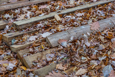 Heap of long wooden boards for the construction and improvement of the yardの写真素材