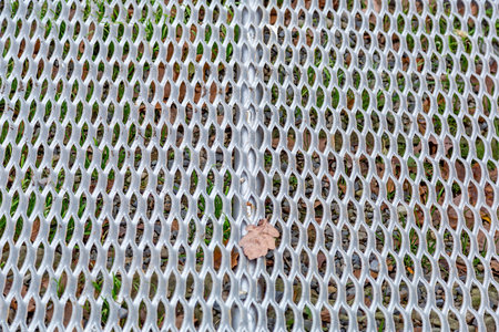 Patterned iron protective lattice. Garden and courtyard landscaping and design element