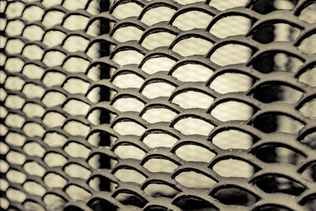 Patterned iron protective lattice. Garden and courtyard landscaping and design element