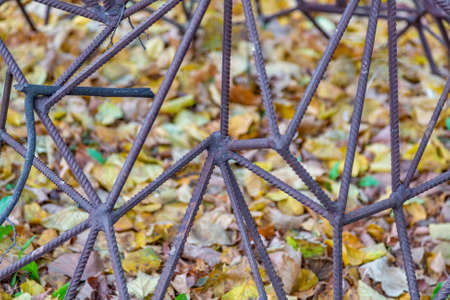 Abstract pattern of rusty rebar and yellow fallen leavesの写真素材