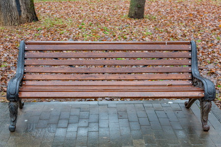 A recreation bench made of wood in a city park in autumn
