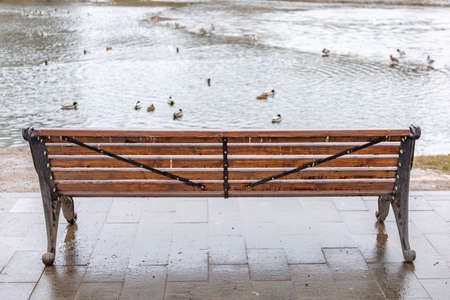 A recreation bench made of wood in a city park in autumnの写真素材