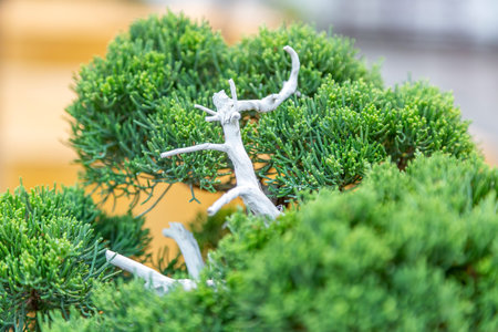 Miniature plant grown in a tray according to Japanese bonsai traditions