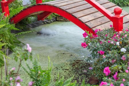 Small red wooden bridge and a pond. Garden or backyard decorating ideaの写真素材