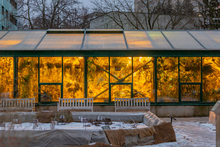 Moscow, Russia - December 22, 2020: A glass greenhouse with tropical and exotic plants in the Pharmaceutical Gardenのeditorial素材