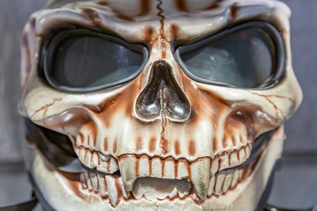 Zelenogradsk, Russia - January 16, 2021: One of the original exhibits of the exposition of the Museum of Skulls and Skeletonsのeditorial素材