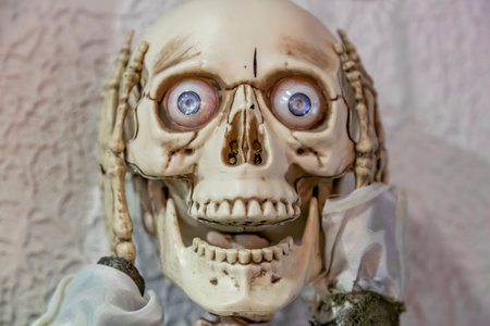 Zelenogradsk, Russia - January 16, 2021: One of the original exhibits of the exposition of the Museum of Skulls and Skeletonsのeditorial素材