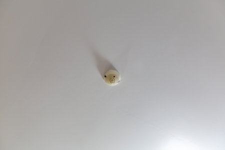White indoor ceiling with fire alarm smoke catcher