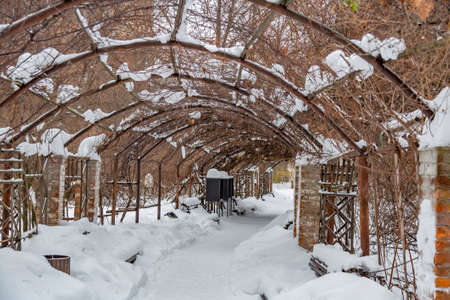 Snowbound garden house with wild grapes in a city parkの写真素材