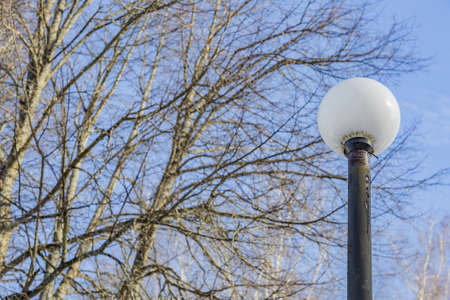 Vintage iron lantern in a public park in the daytimeの写真素材