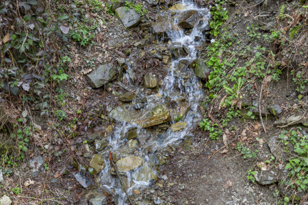 Small water stream flows down the mountainside with trees at daytime