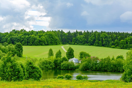 Classic middle european rural landscape with flowers blooming in the meadow and beautiful skyの写真素材