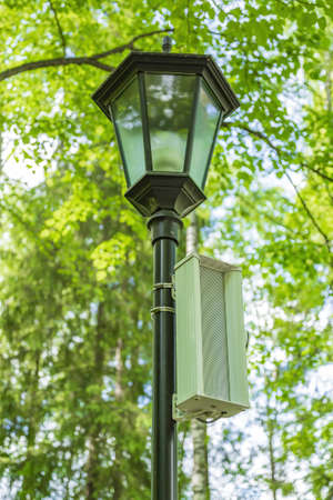 Black vintage iron lantern in the daytime among the green trees in the forestの写真素材