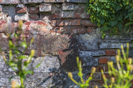 Embossed textured surface of an old wall made of facade bricks and cementの写真素材