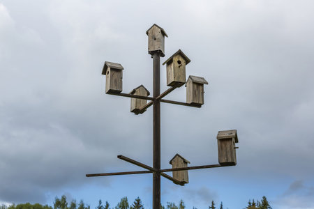 Wooden birdhouse-feeder on the background of a cloudy sky in the summer city park