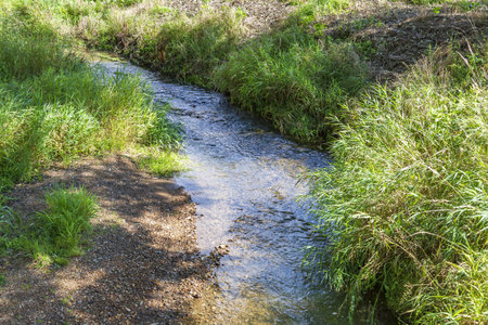 City summer park with a picturesque shady stream and greenery
