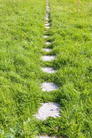Overgrown with bright green grass trail of gray stones for walking pedestrians in the old green city parkの写真素材