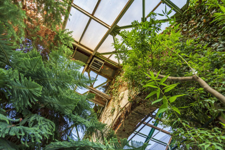 Steel beams and frosted glass as the base of the roof of the botanical greenhouseの写真素材
