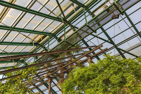 Steel beams and frosted glass as the base of the roof of the botanical greenhouseの写真素材