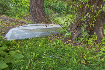 Old abandoned iron boat near a duckweed pond in the daytimeの写真素材