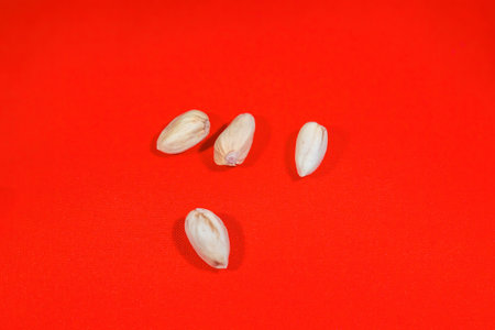 Four large unopened pistachios on a bright red fabric backgroundの写真素材