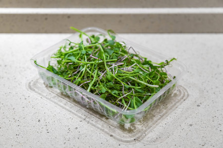 Bright fresh microgreens in a transparent plastic tray. Used in salads, soups, cocktails, smoothies...