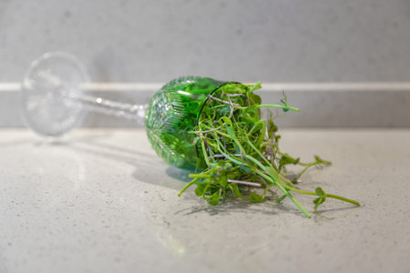 Bright fresh microgreens in a crystal glass. Used in salads, soups, cocktails, smoothies and other...