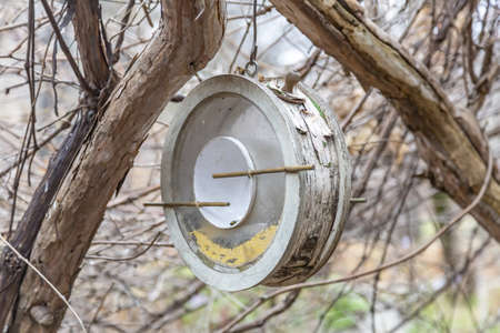 Handmade birdhouse-feeder hanging on a tree in an autumn parkの写真素材