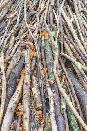 The idea of creating a homemade art composition from dry branches in the autumn garden or in the...