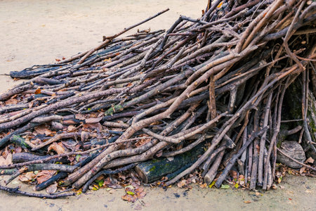 The idea of creating a homemade art composition from dry branches in the autumn garden or in the backyardの写真素材