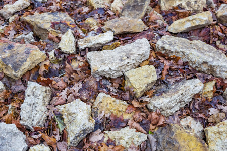 A pile of rough stones mixed with fallen autumn leaves at a construction site