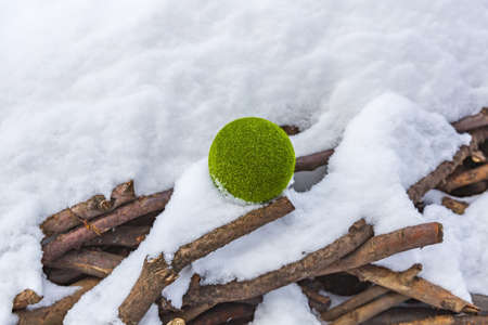 Decorative fluffy green ball in snow in winter parkの写真素材