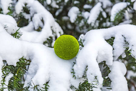 Decorative fluffy green ball in snow in winter parkの写真素材