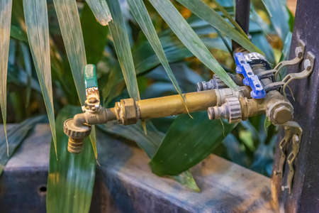 Old metal watering faucet for irrigating plants and flowers in the garden or backyardの写真素材