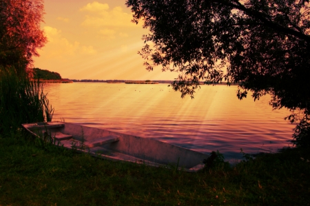 dramatic light over the lake in Valley Dolina Baryczy  Milicz, Poland の写真素材