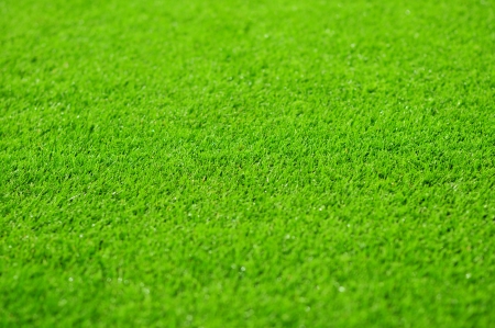 Grass background of the soccer  football  stadium pitch の写真素材