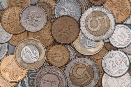 Money PLN background on whiteの写真素材