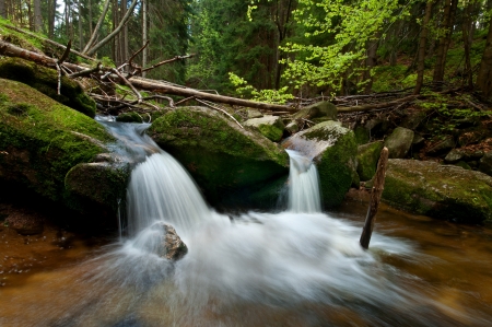 Forest streamの写真素材
