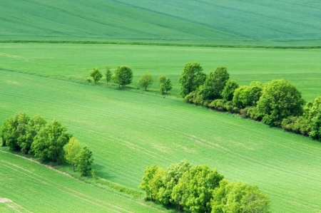 aerial view over rural fieldの写真素材