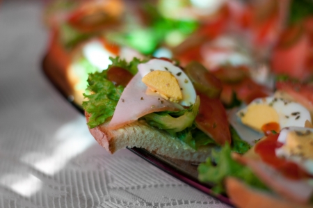 sandwich on the plateの写真素材