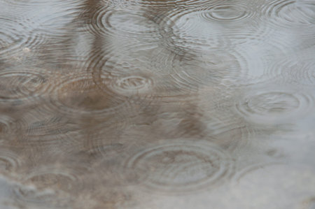 Rain drops rippling in a puddleの写真素材