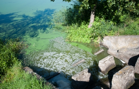 Pollution in the riverの写真素材