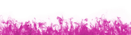 pink flames on white backgroundの写真素材